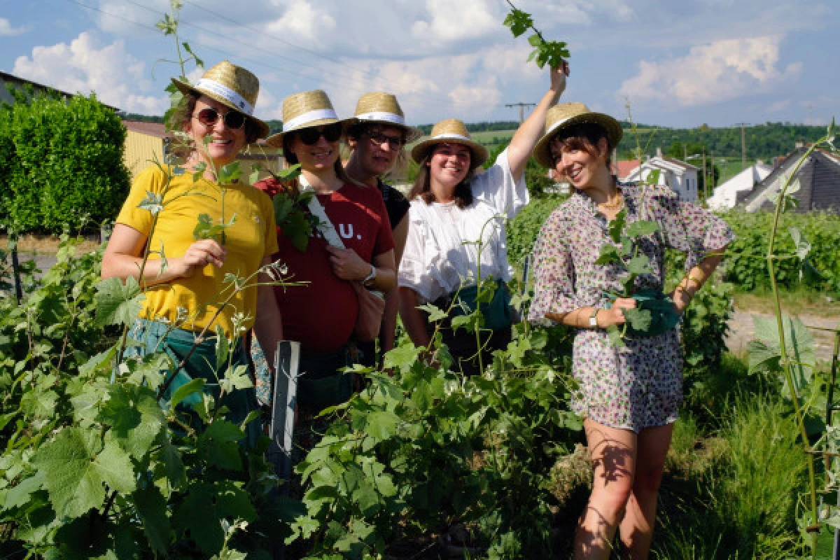 Vine Workshop - Introduction to lifting/tying - Vignerons Indépendants