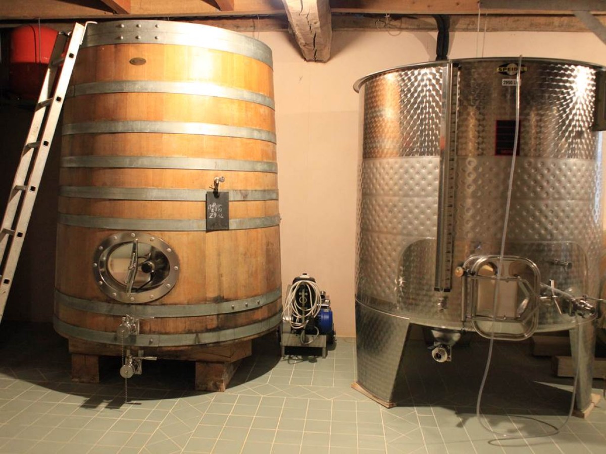 Non-Private Visit - At the Heart of the Estate - Vignerons Indépendants