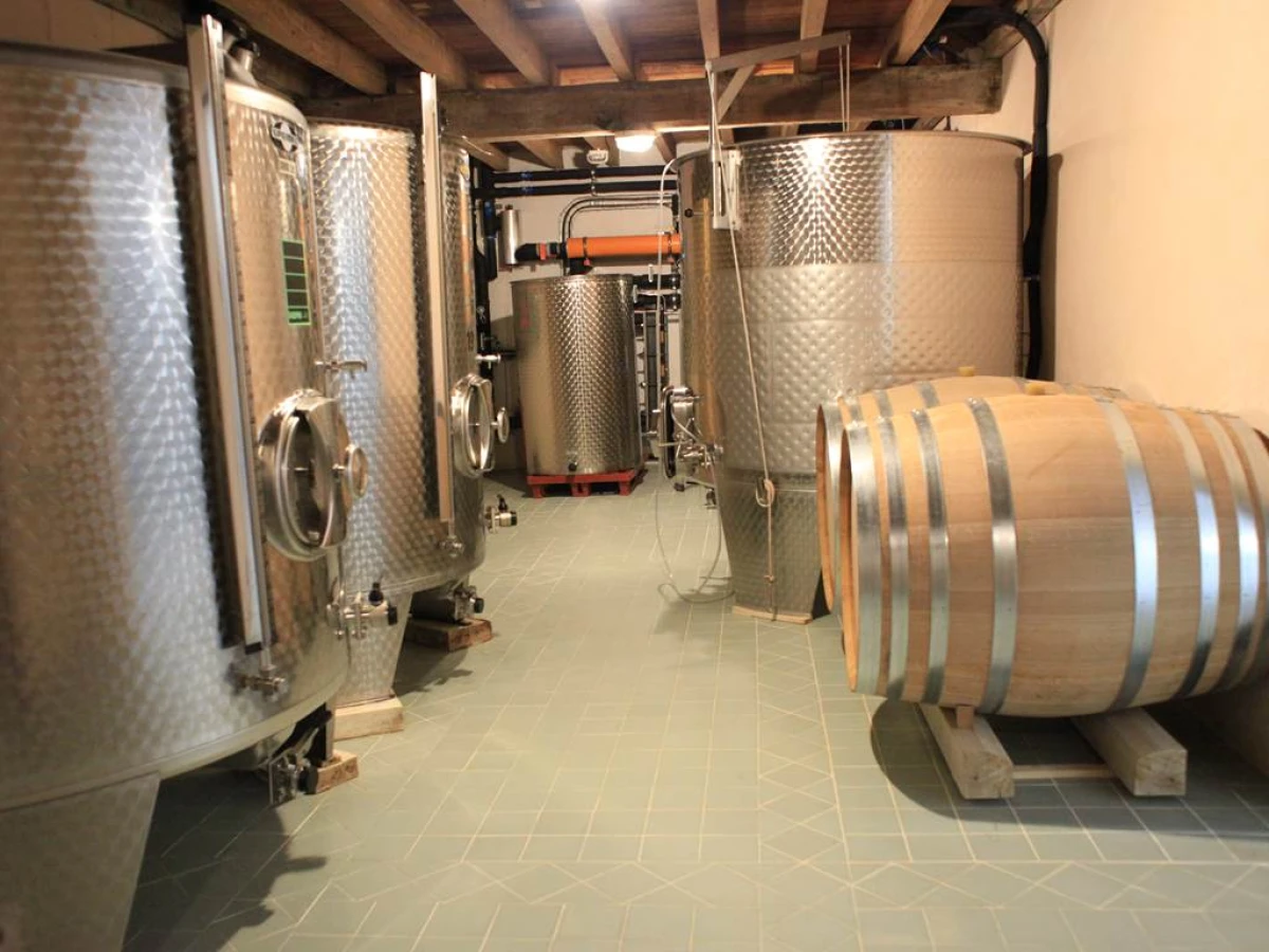 Non-Private Visit - At the Heart of the Estate - Vignerons Indépendants