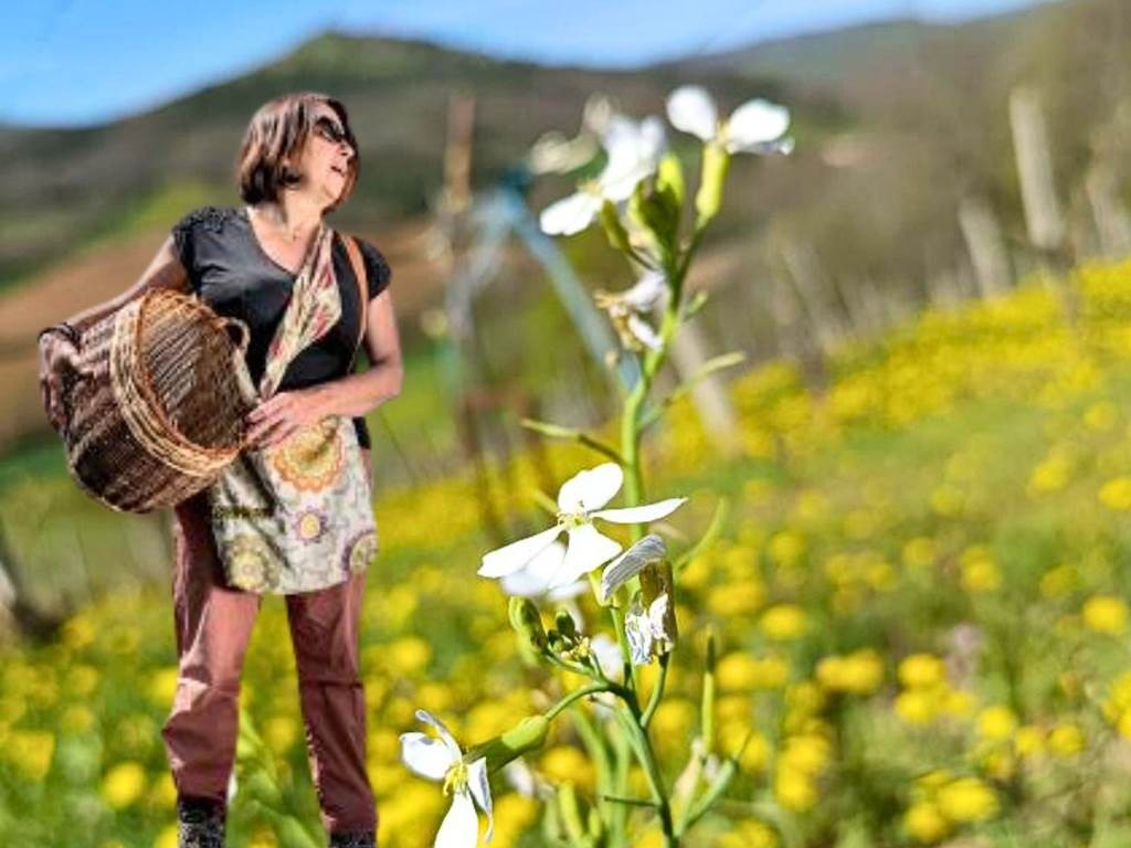 Balade botanique avec dégustation dans le vignoble de Boudes - Vignerons Indépendants