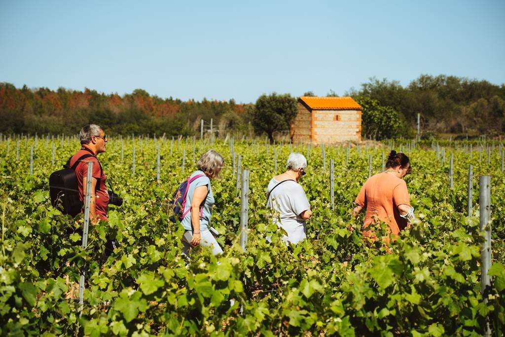 Balade des sens - Vignerons Indépendants