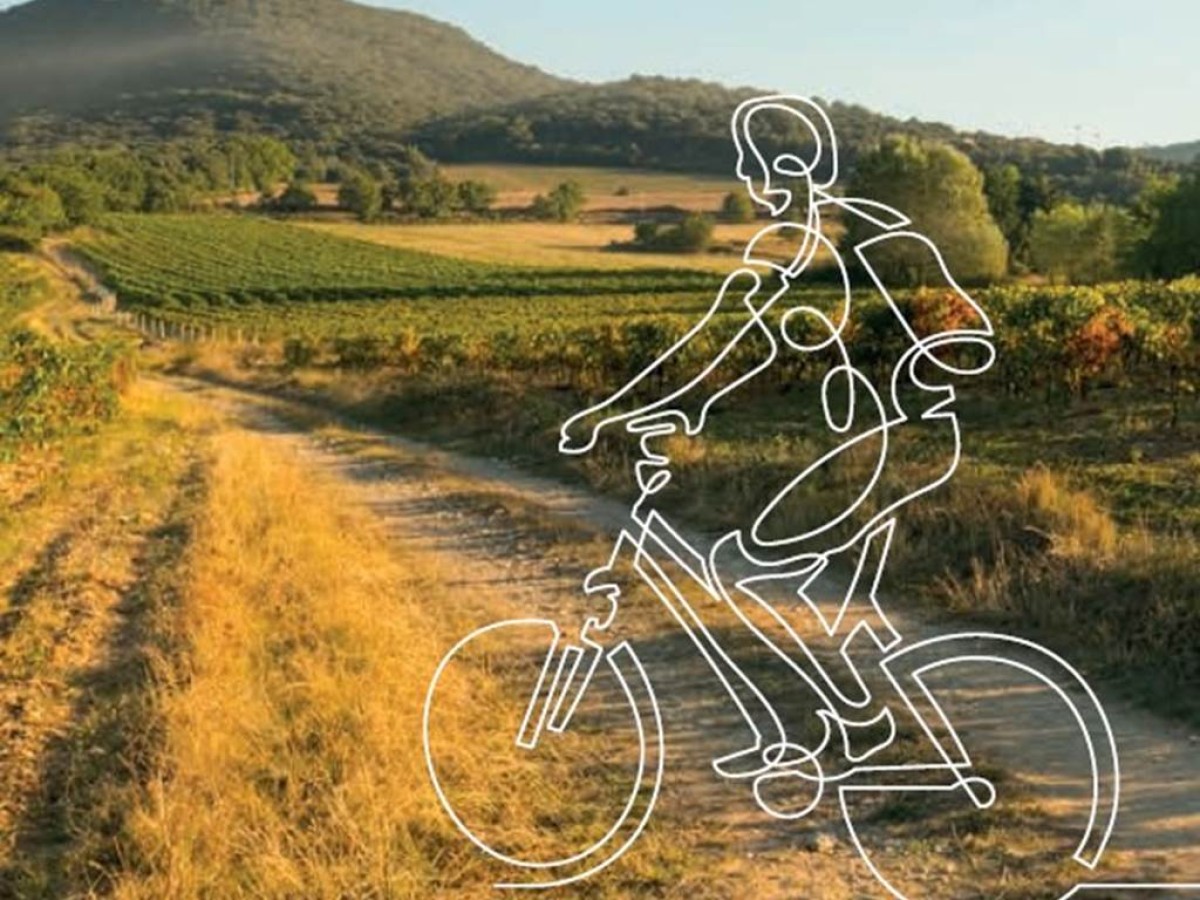 Balade en E-Velo & Vin - Vignerons Indépendants