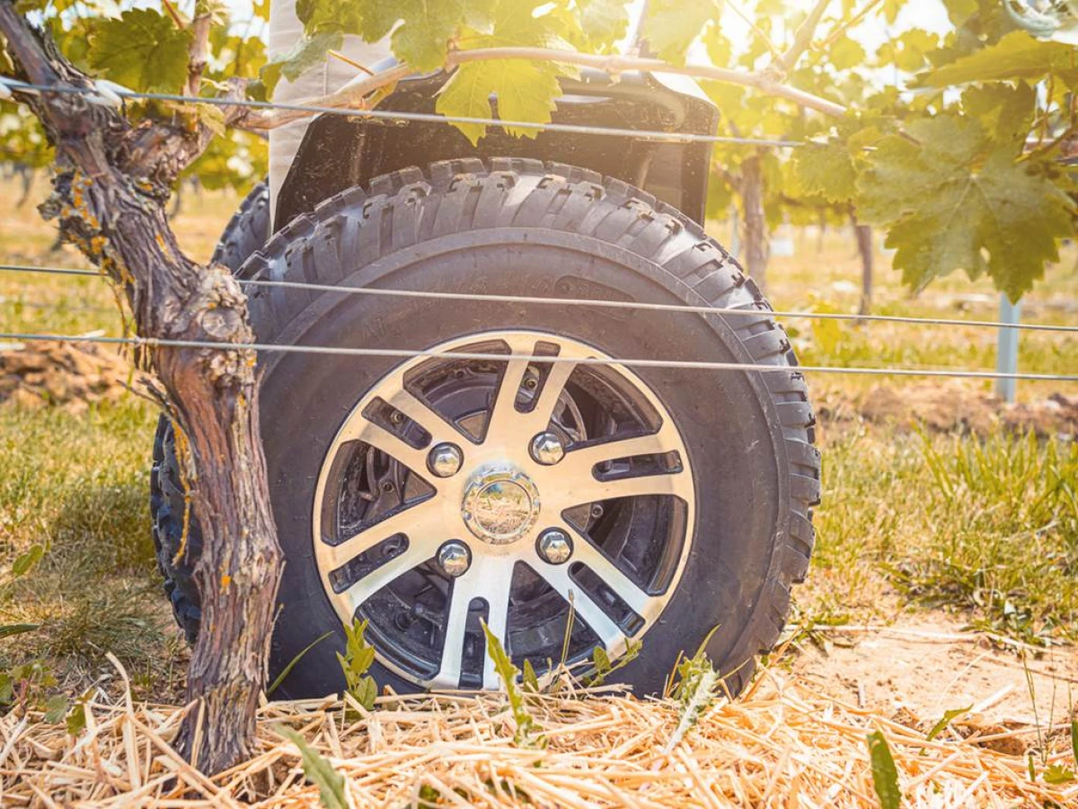 Balade en trottinette electrique dans le vignoble - Vignerons Indépendants