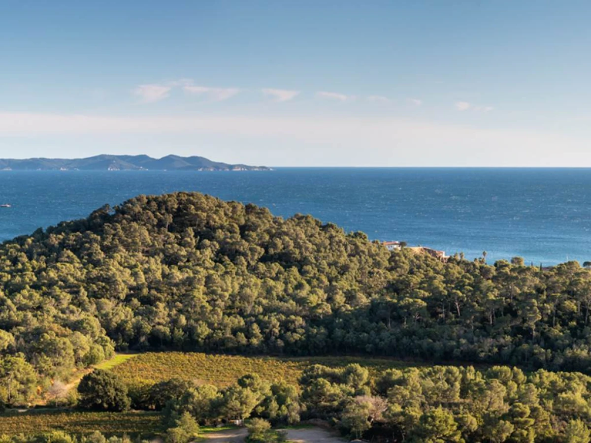 Balade entre vignes et mer - Vignerons Indépendants