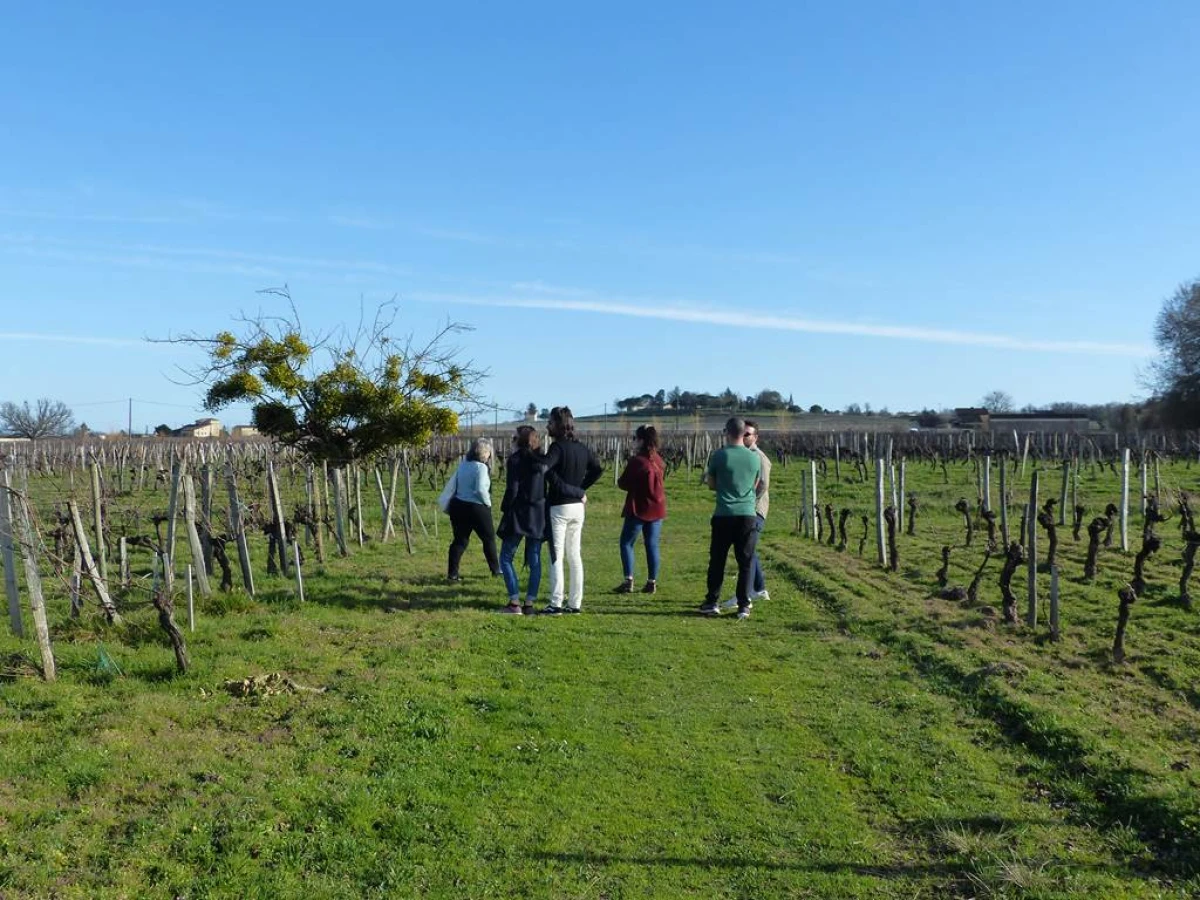 Winter Walk and Comfort by the Fire - Vignerons Indépendants