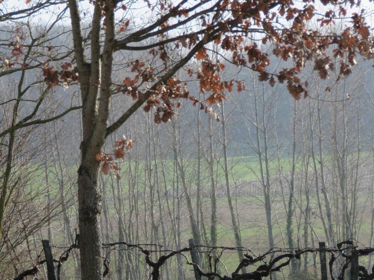  - Vignerons Indépendants