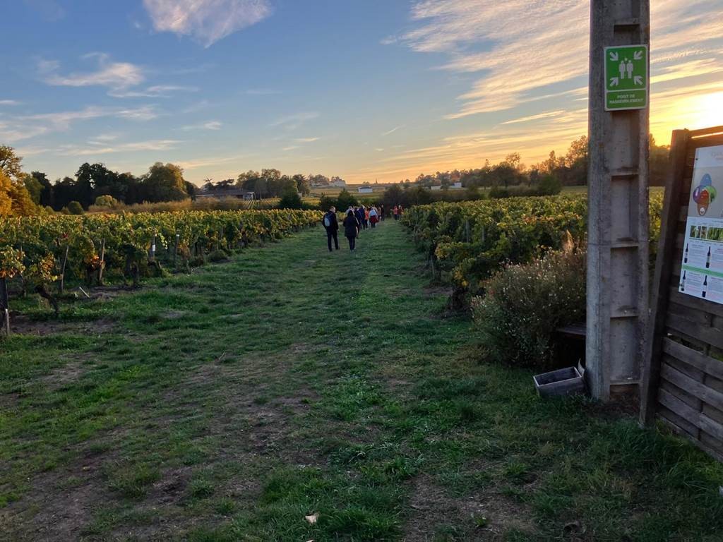 Sensory walk - Vignerons Indépendants