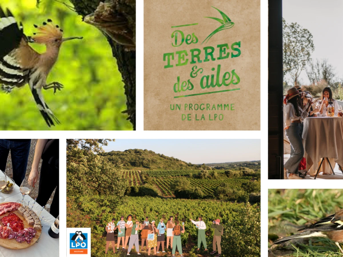 Biodiversité & Pause Gourmande - Vignerons Indépendants