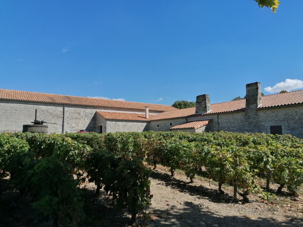  - Vignerons Indépendants