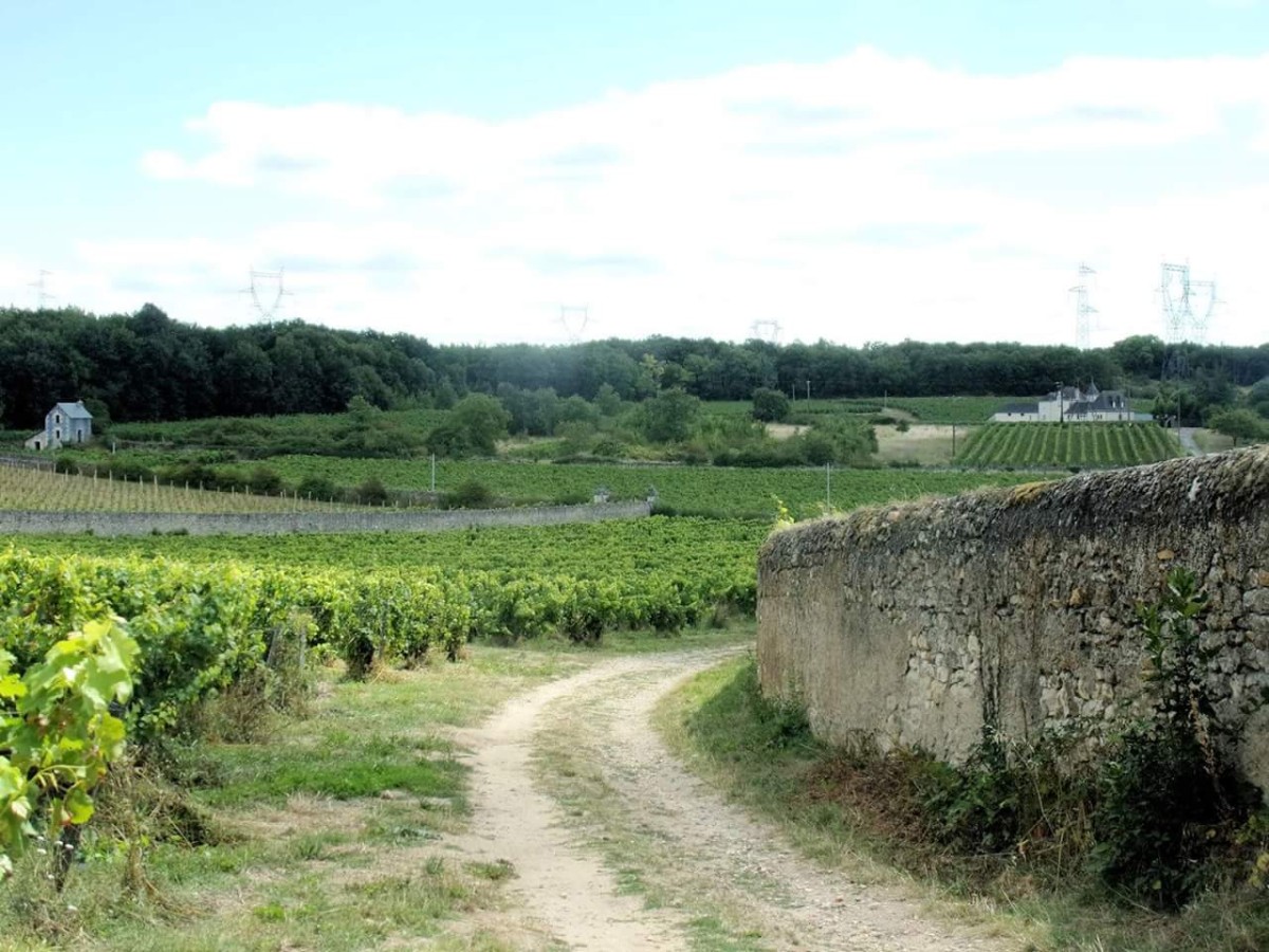  - Vignerons Indépendants