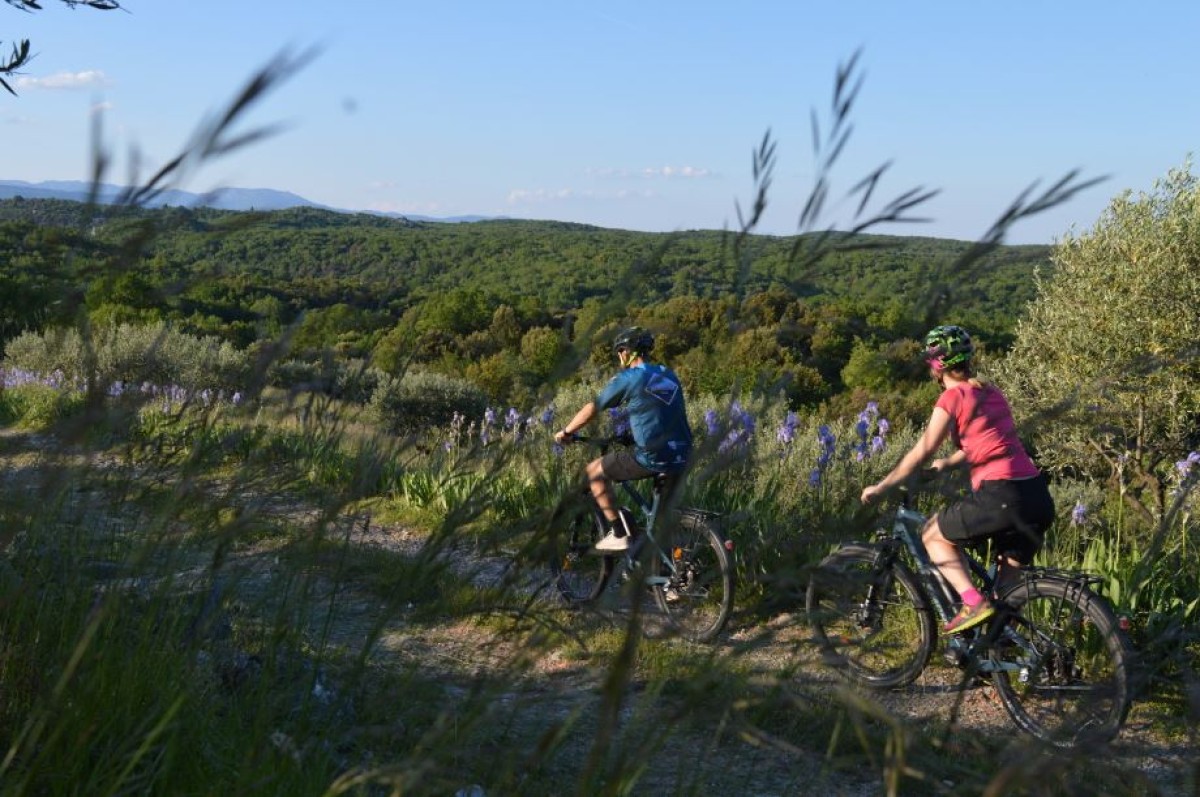  - Vignerons Indépendants