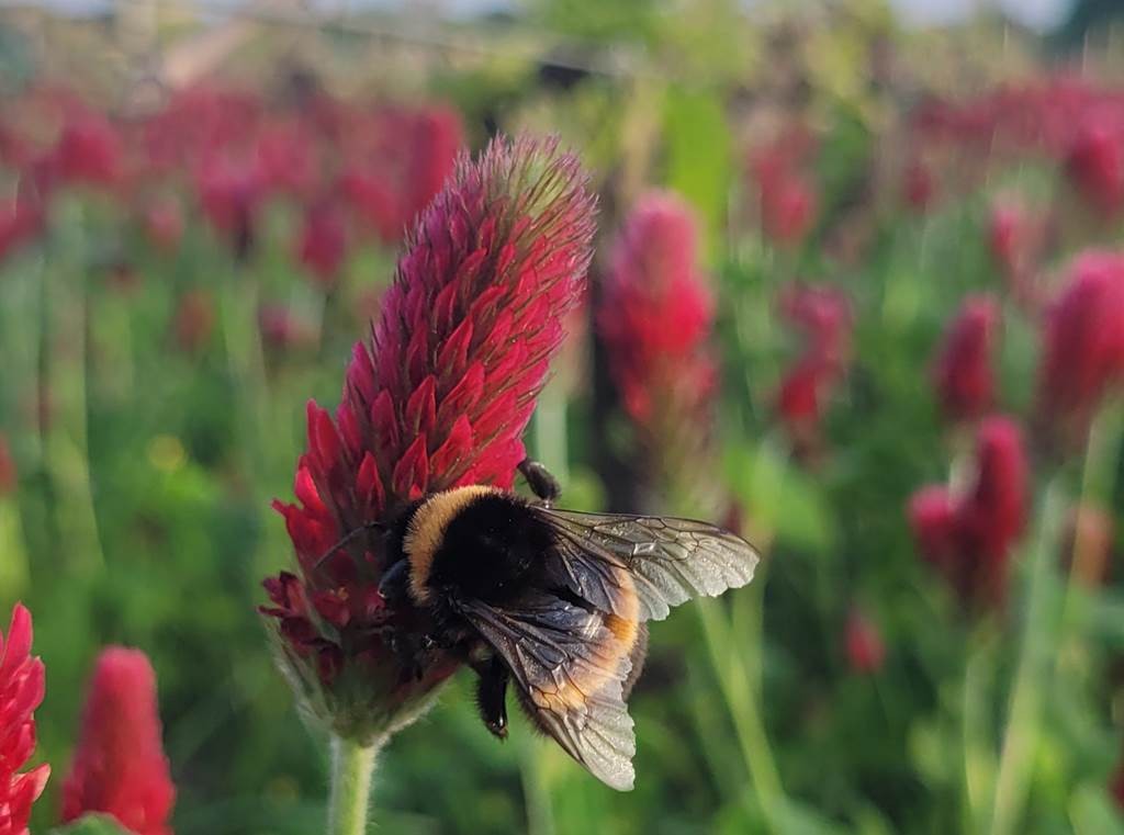  - Vignerons Indépendants
