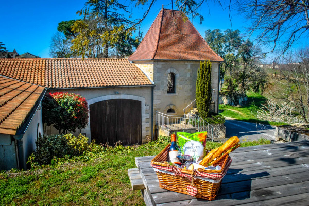 Château La Croizille St-Emilion Grand Cru Classé : Picnic & Visit in English - Vignerons Indépendants