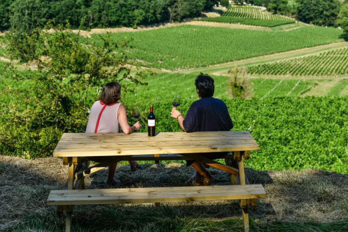 Château La Croizille St-Emilion Grand Cru Classé : Picnic & Visit in English - Vignerons Indépendants