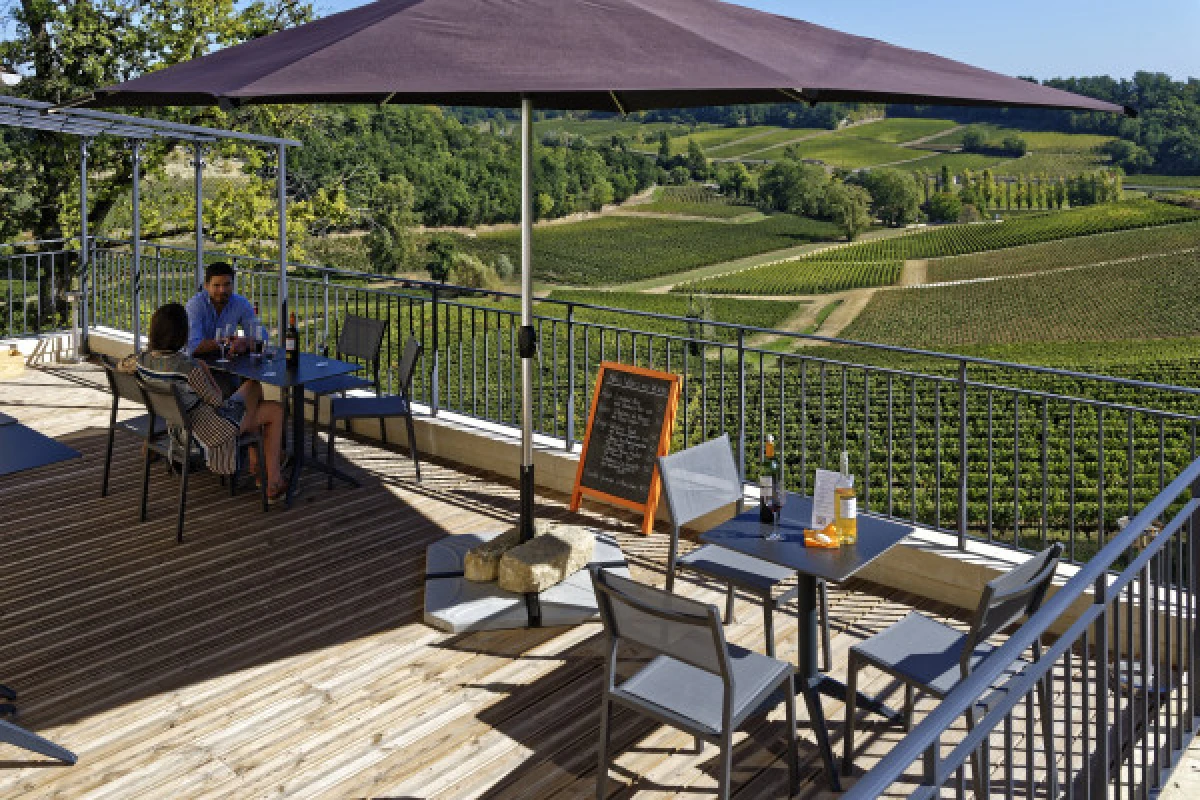 Château La Croizille St-Emilion Grand Cru Classé : Visit & Wine Tasting in English - Vignerons Indépendants