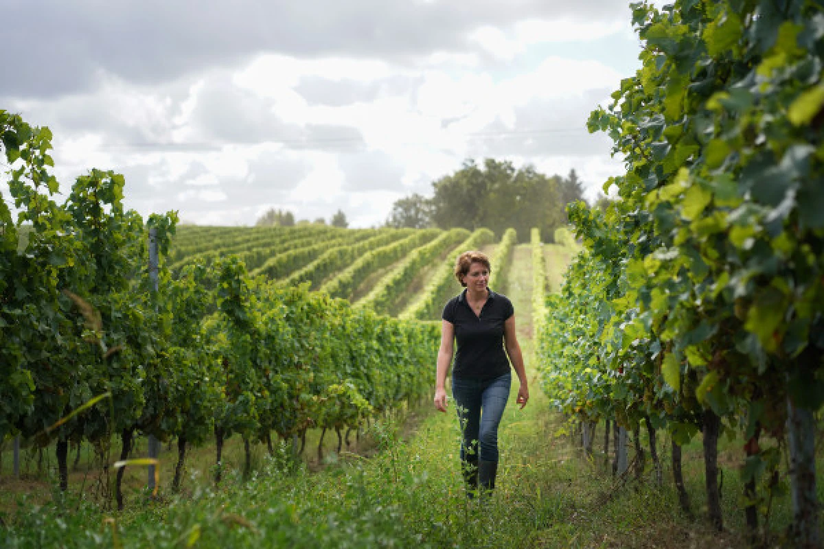 Château Lestrille - Tour & tasting - Vignerons Indépendants