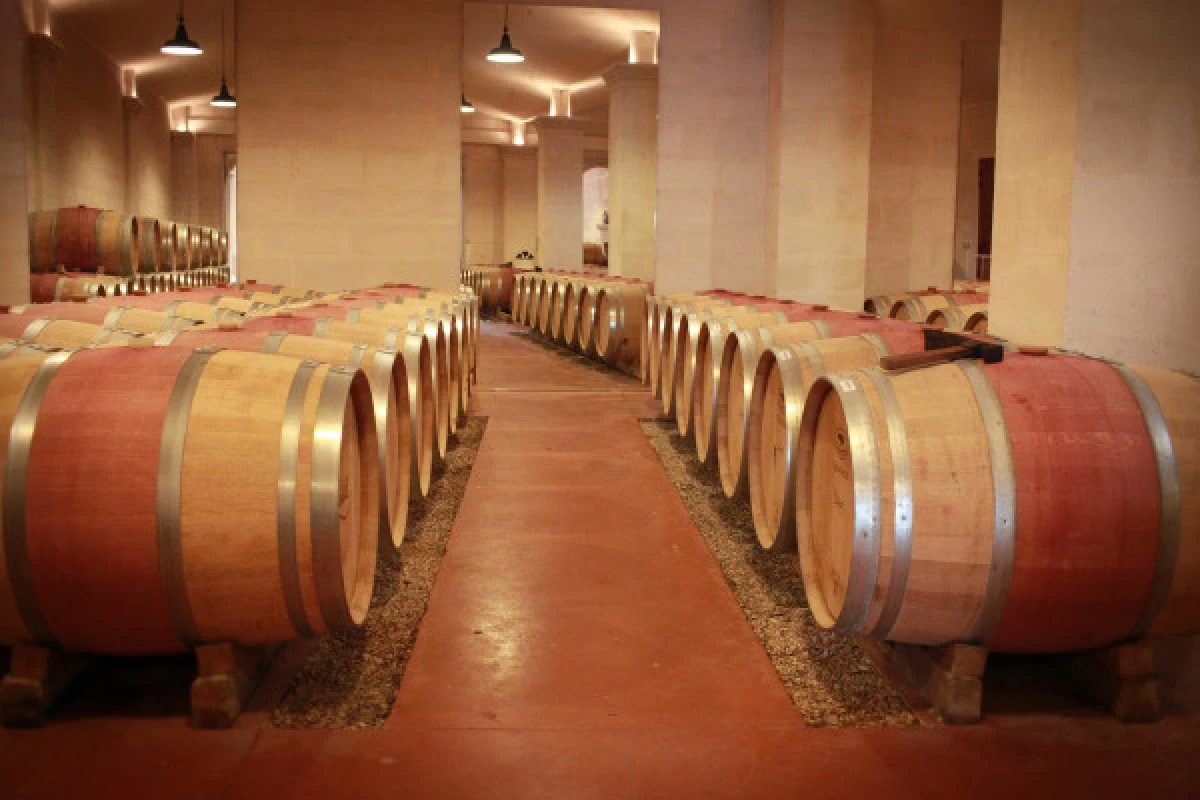 Château Lestrille - Tour & tasting - Vignerons Indépendants