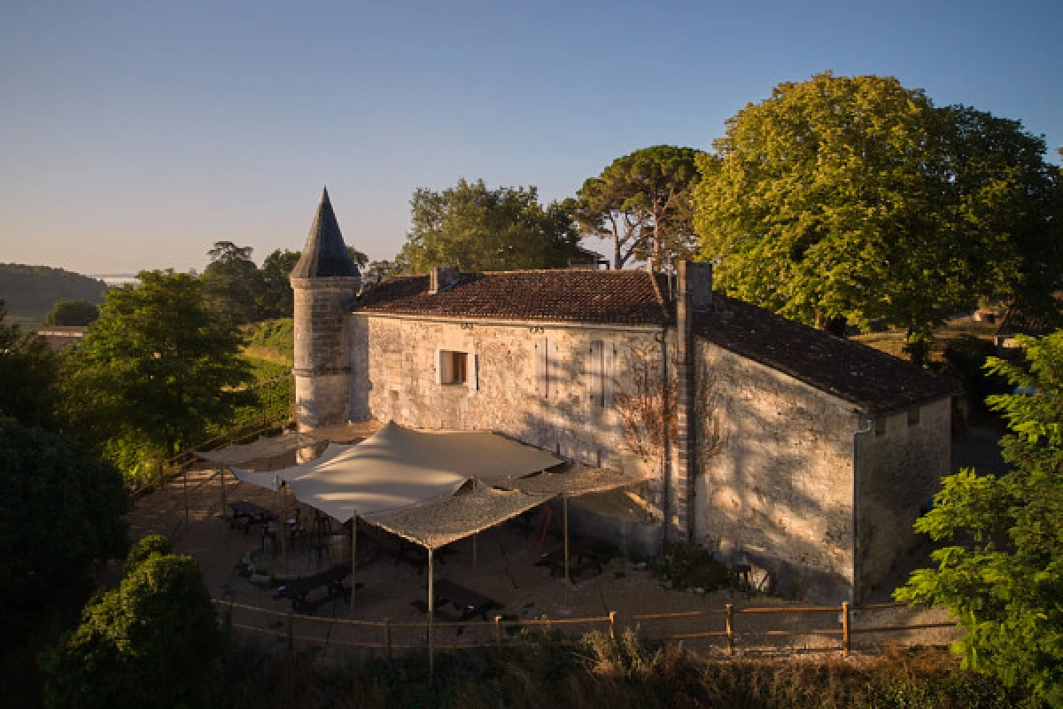 Chateau Tour Baladoz : Right vs Left Bank Wine Tasting in English - 6 wines - Vignerons Indépendants