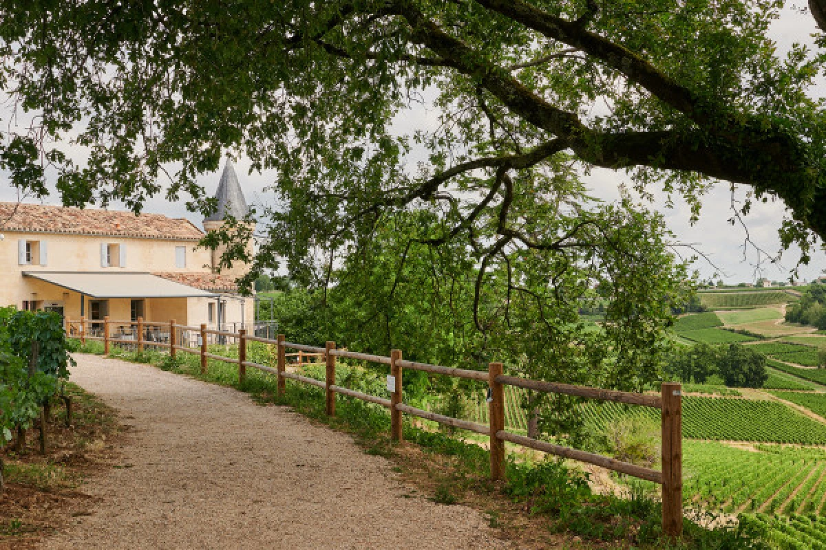 Chateau Tour Baladoz : Saint-Emilion Grand Cru Tasting - 3 wines - Vignerons Indépendants