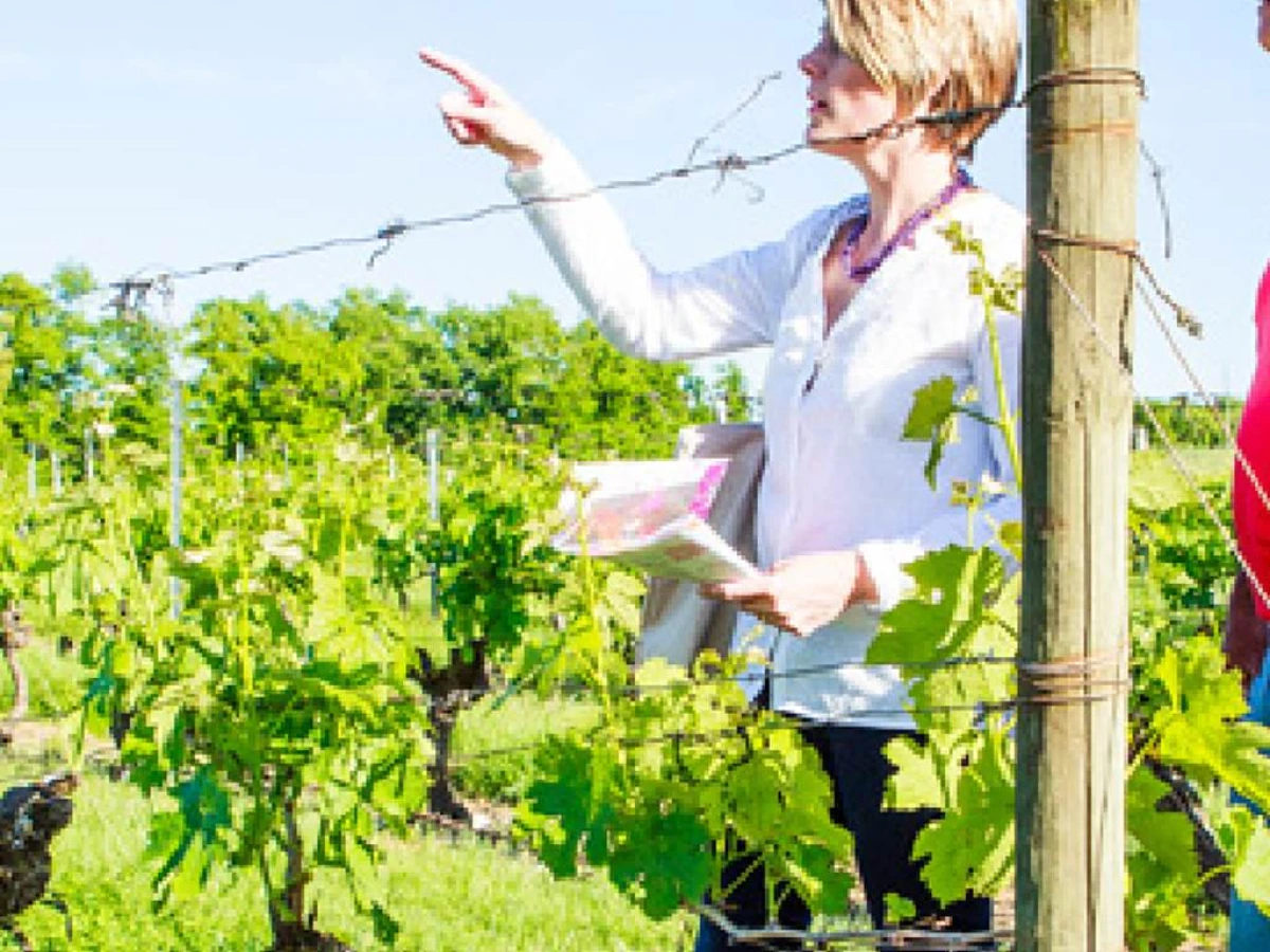 Discovery tour - Vignerons Indépendants