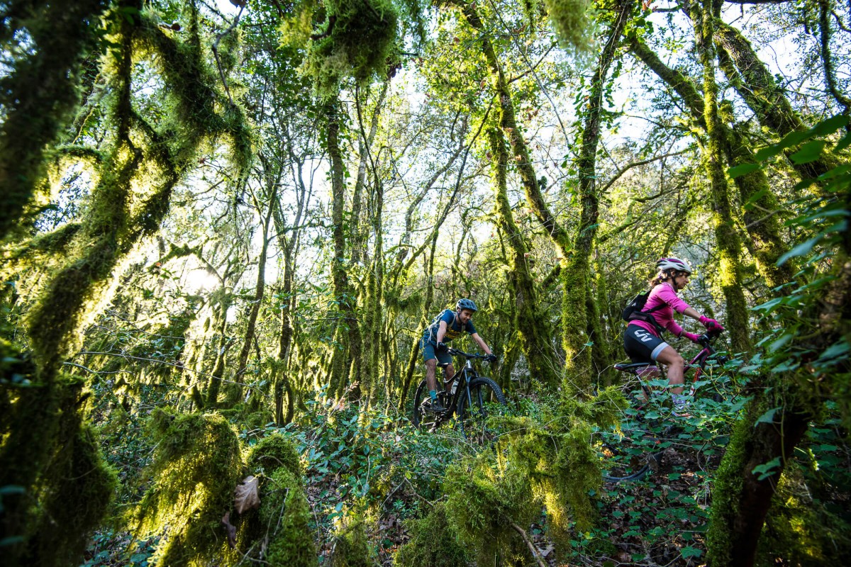  - Vignerons Indépendants