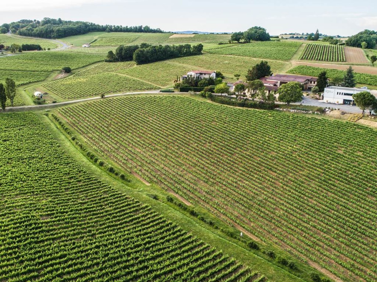 DANS LES COULISSES DU VIN : Visite Guidée de la cave & Dégustation Commentée - Vignerons Indépendants