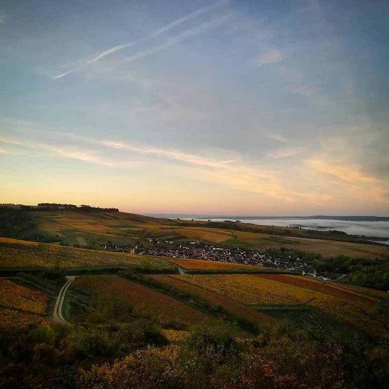  - Vignerons Indépendants