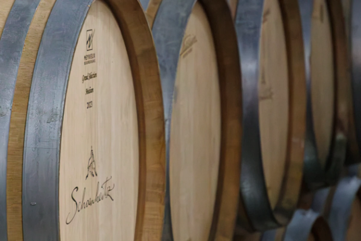 From Vine to Wine – Discover, Taste, Enjoy! - Vignerons Indépendants