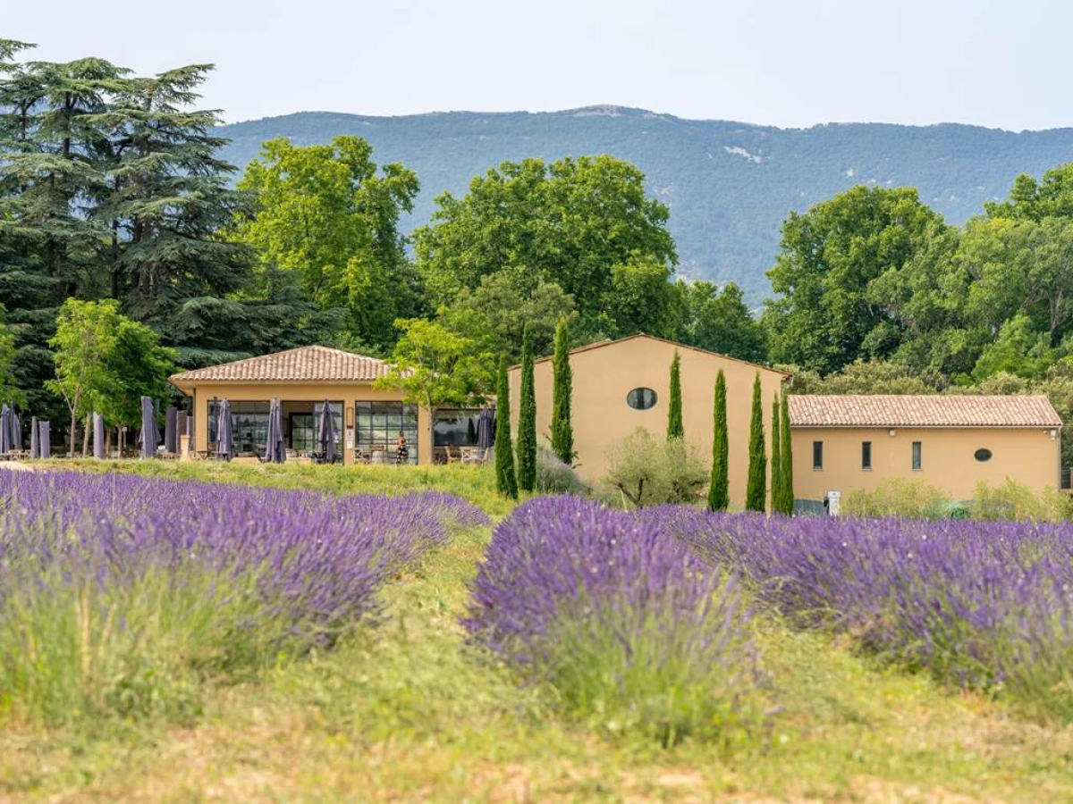 Secrets de la Vigne - Vignerons Indépendants