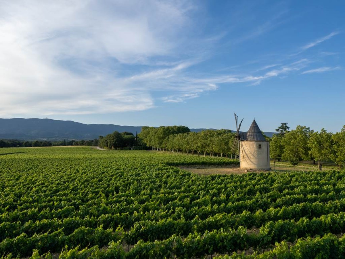 De la Vigne au Verre - Vignerons Indépendants