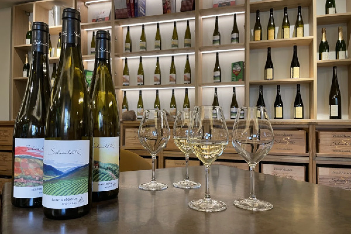 From Vine to Wine – Discover, Taste, Enjoy! - Vignerons Indépendants