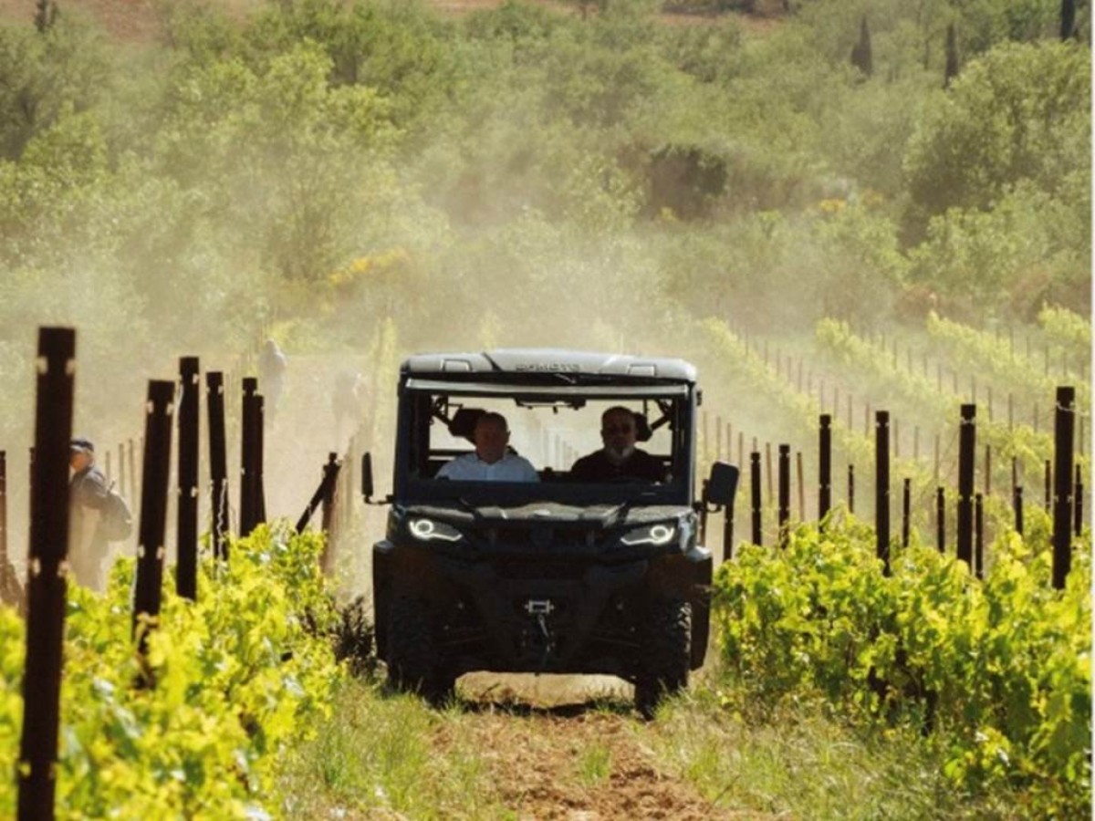 Découverte du vignoble en Buggy - Vignerons Indépendants