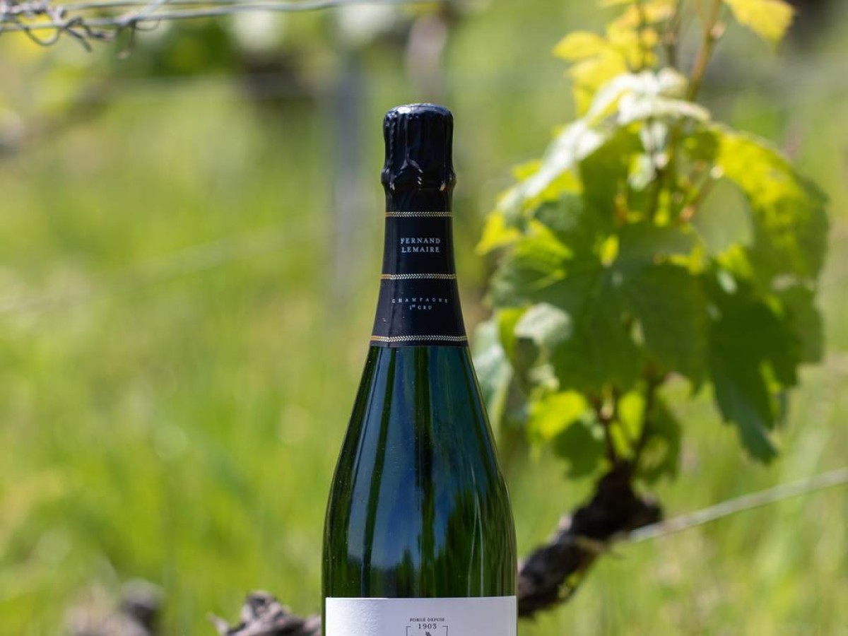  - Vignerons Indépendants