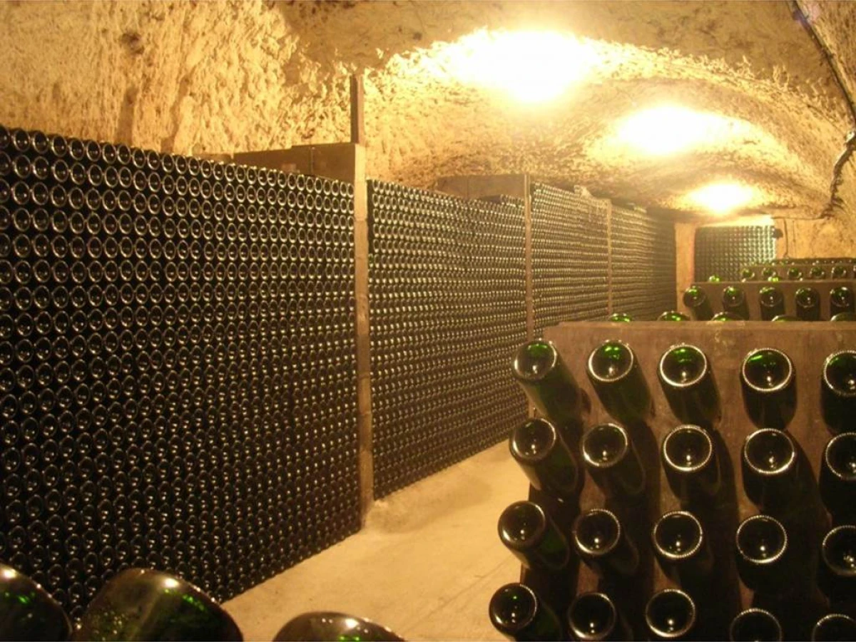Dégustation des vins et visite des caves troglodytiques - Vignerons Indépendants