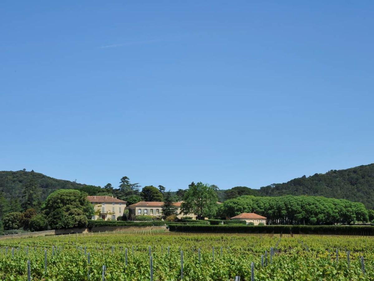 Dégustation : Nos Spécialités - Vignerons Indépendants