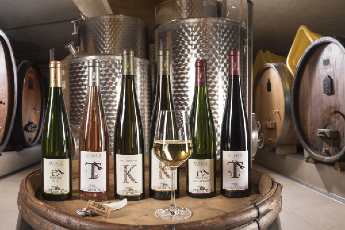 Meet our wines with an in-depth tasting. - Vignerons Indépendants