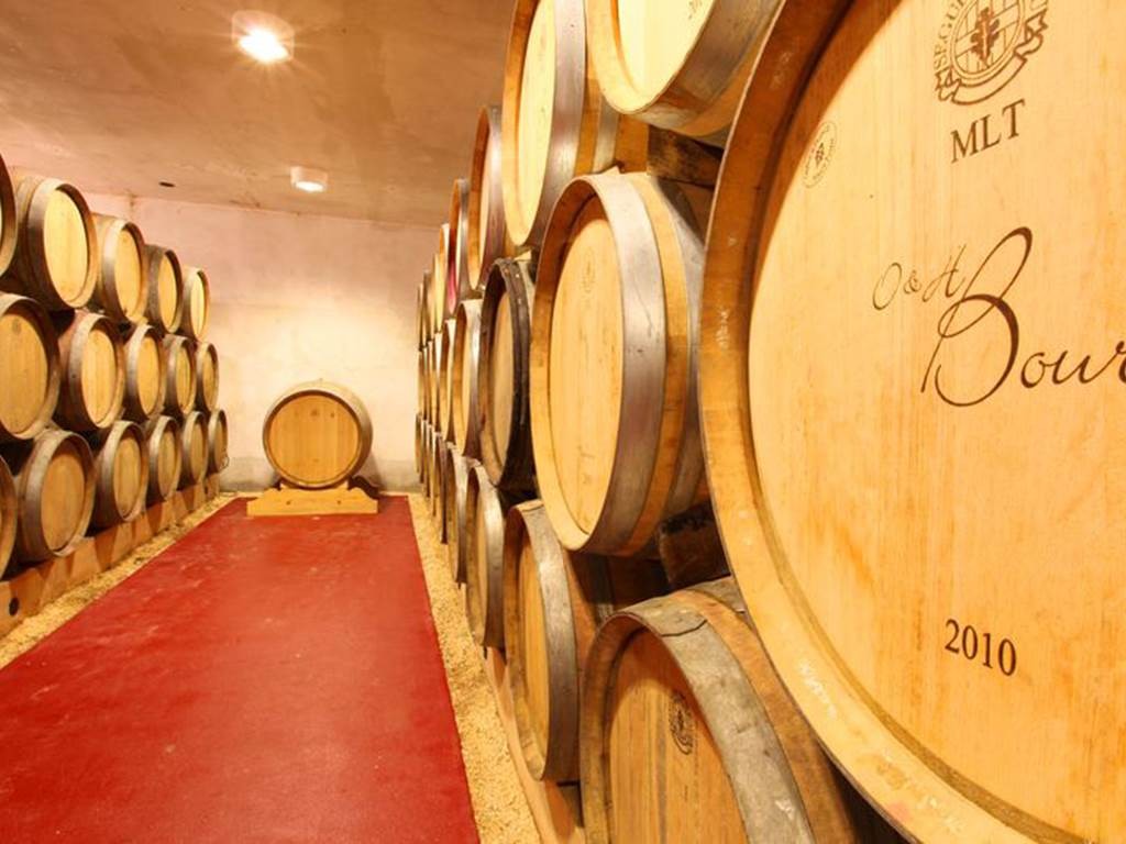 Dégustation sur barriques à 12h00 le samedi 18/10/2025 - Vignobles en scène au Domaine de Grangeneuve - "De la cave au verre... jusqu'à l'assiette" - Vignerons Indépendants