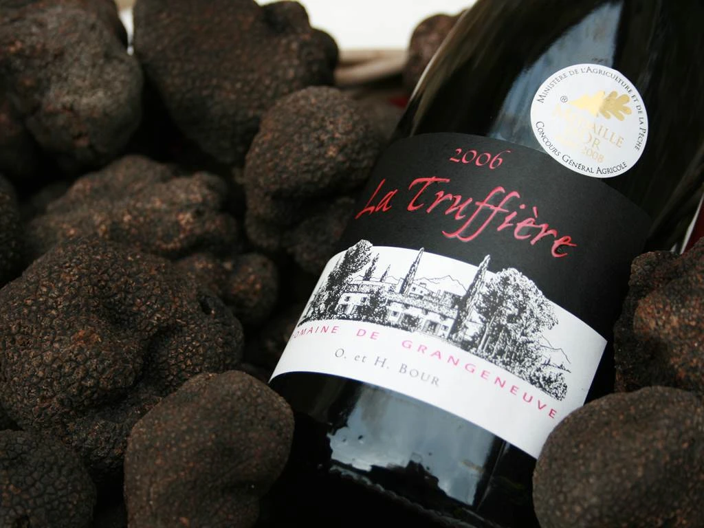 Dégustation verticale en Magnum - La Truffière à 14h30 le samedi 18/10/2025 - Vignobles en scène au Domaine de Grangeneuve - "De la cave au verre... jusqu'à l'assiette" - Vignerons Indépendants