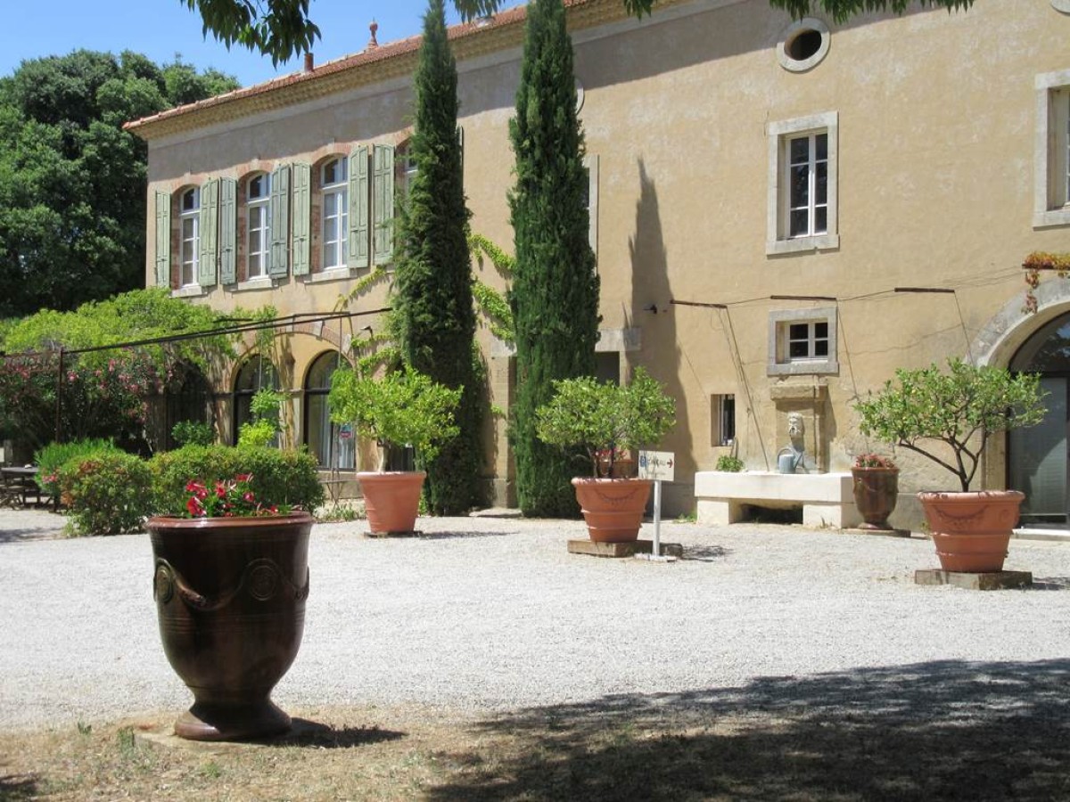 Dégustation & visite : Nos Blancs de Viognier - Vignerons Indépendants