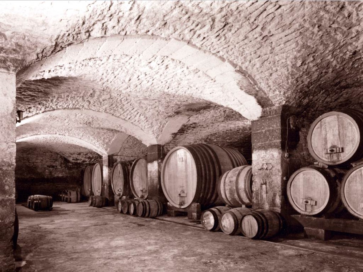 Dégustation & visite : Nos Massif d'Uchaux Rouges - Vignerons Indépendants