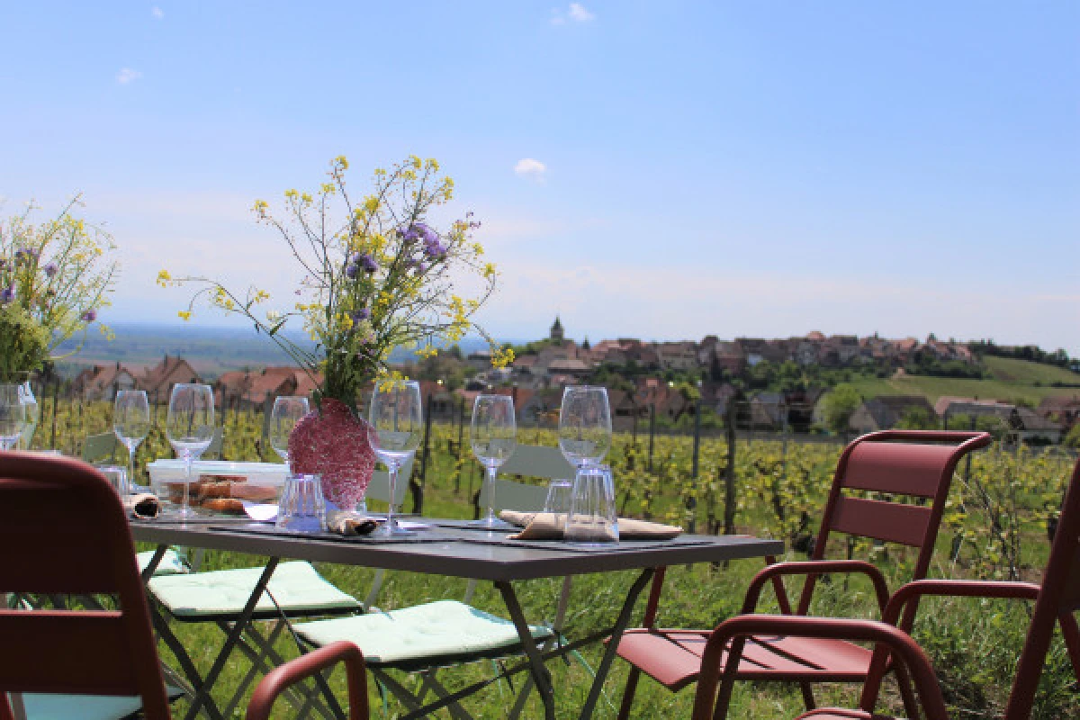 Lunch in the Vineyard - Vignerons Indépendants