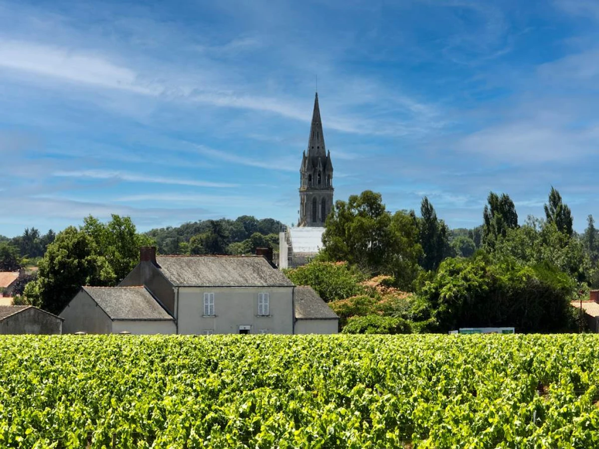 Diner Inauguration - Vignerons Indépendants