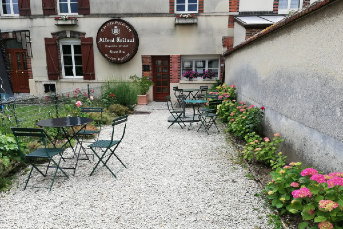 Discovery Visit - Champagne Alfred TRITANT - Vignerons Indépendants