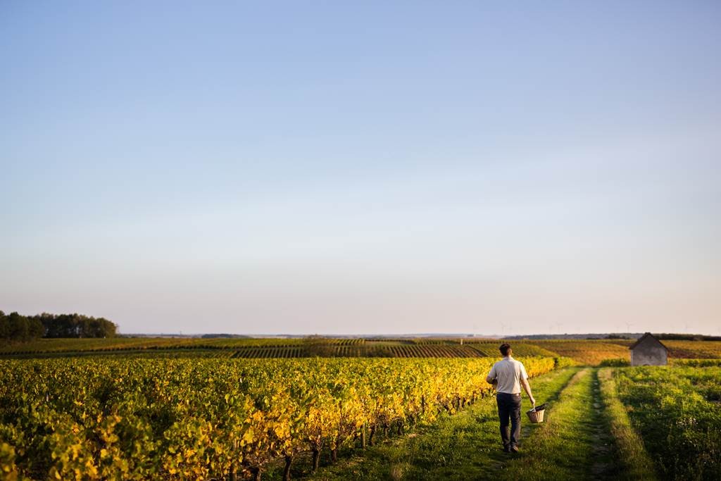  - Vignerons Indépendants