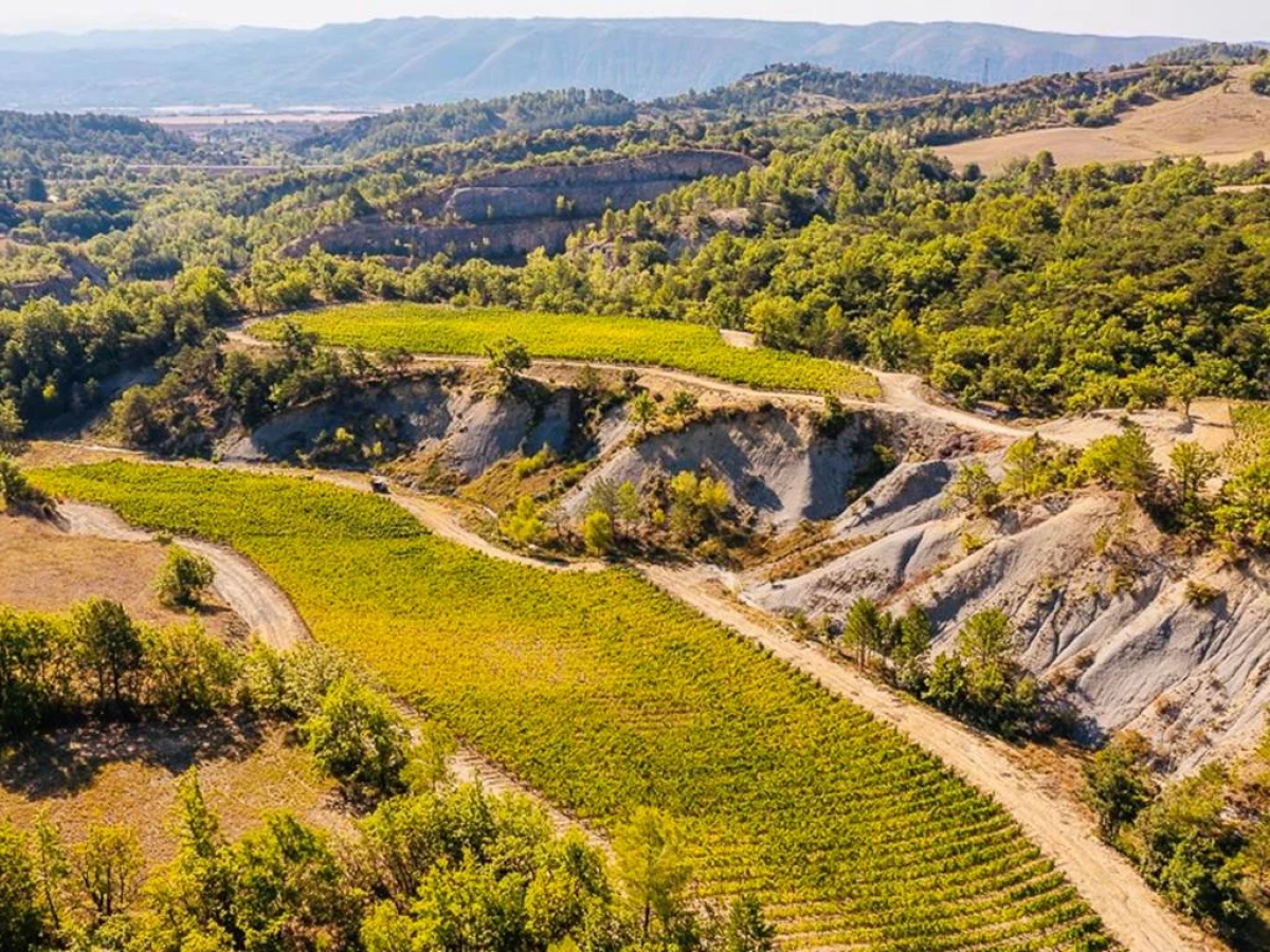 Domaine des Bergeries de Haute-Provence - Vignerons Indépendants