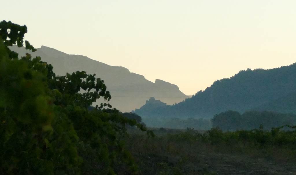 Grand Arc Estate - Vignerons Indépendants