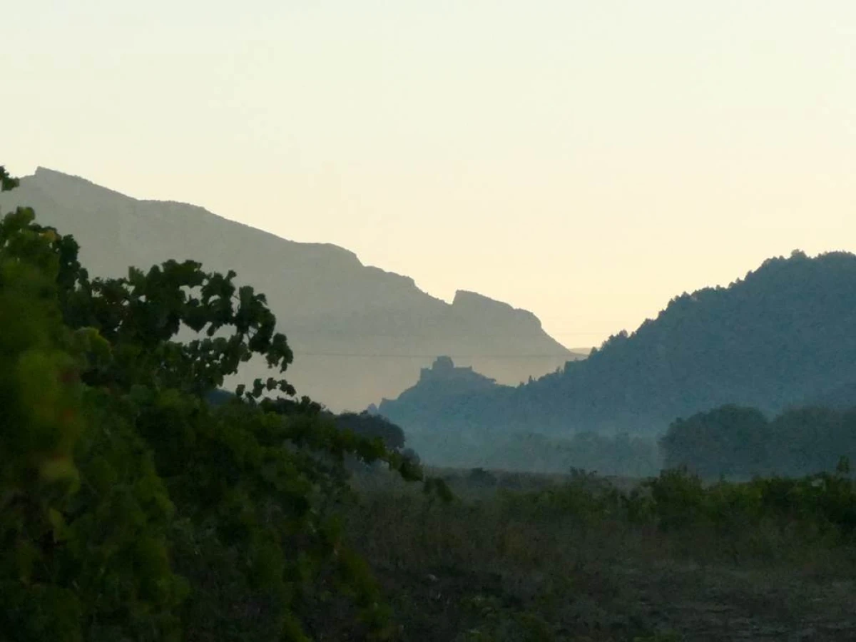 Grand Arc Estate - Vignerons Indépendants