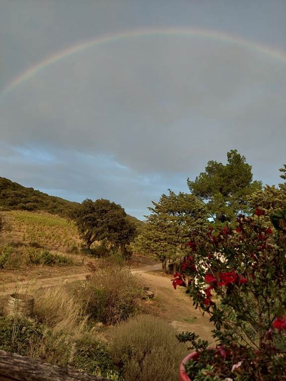 Grand Arc Estate - Vignerons Indépendants