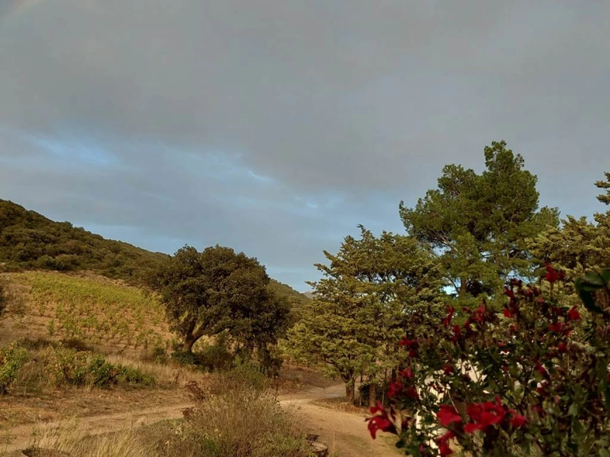 Grand Arc Estate - Vignerons Indépendants