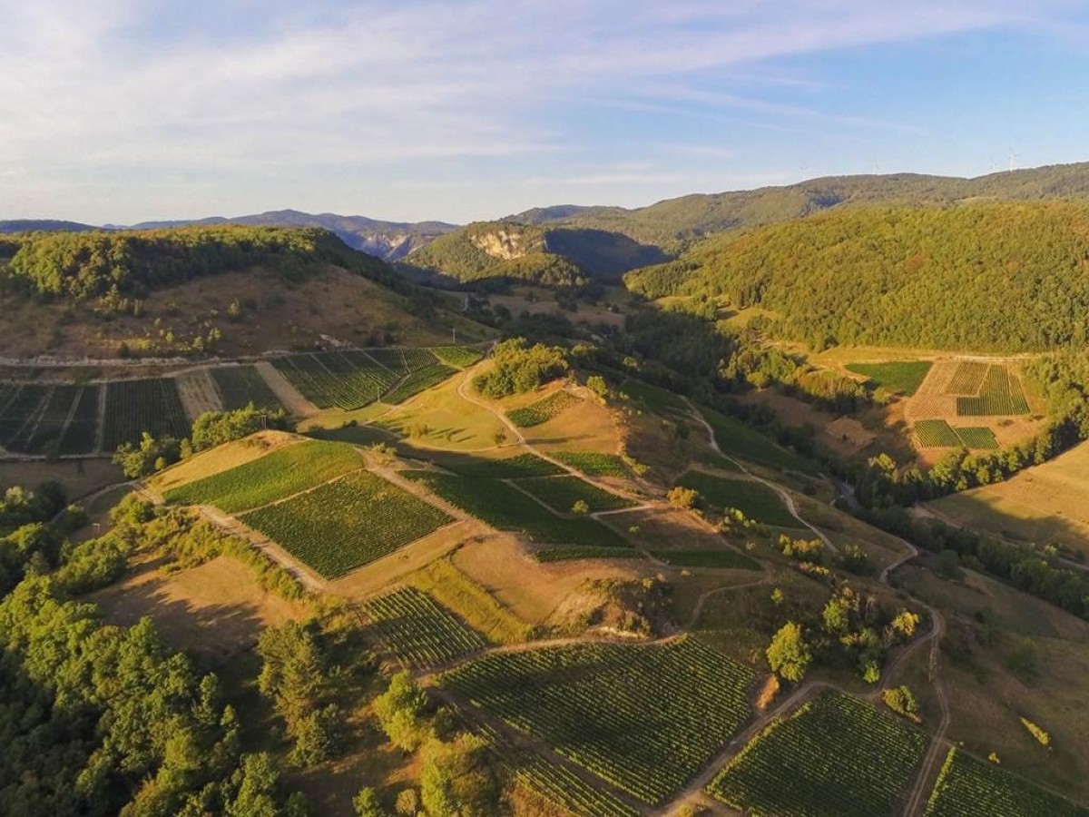  - Vignerons Indépendants